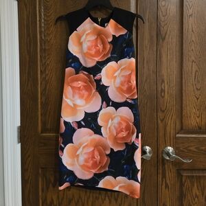 Calvin Klein Floral Blue and Pink Dress